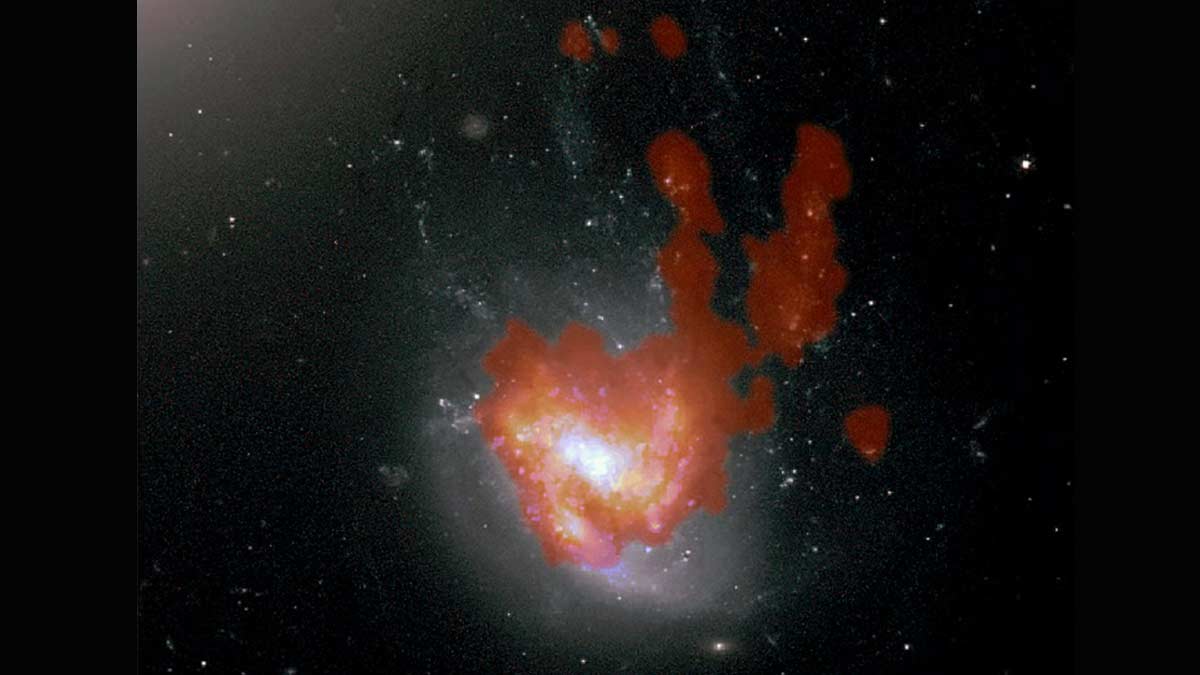 Descubren galaxia “medusa” con orejas de conejo