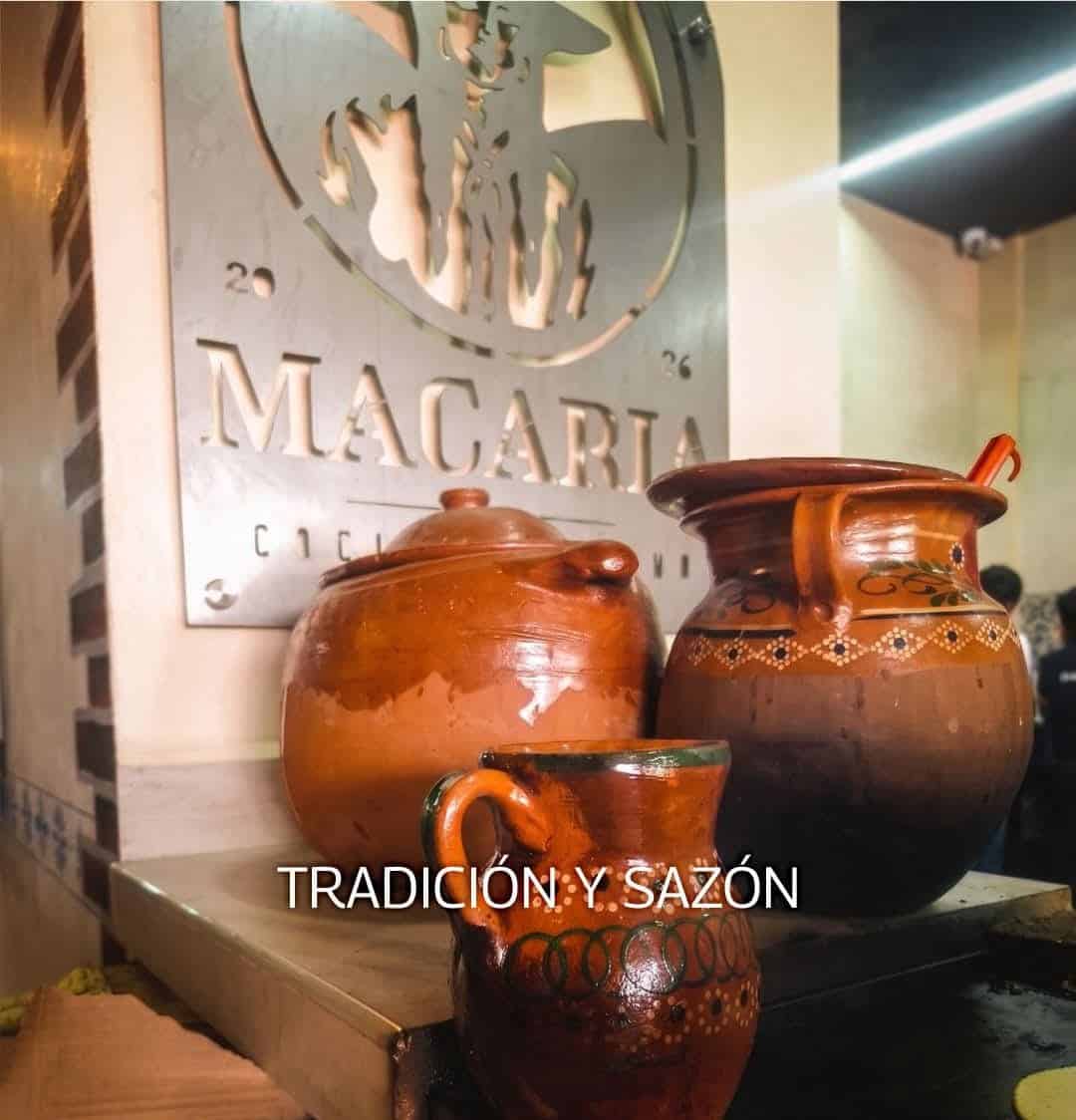 gastronomía villa de pozos slp