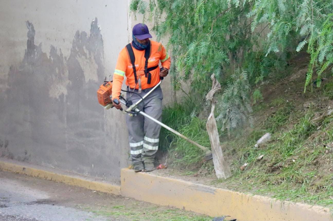 glorieta a guadalajara gobierno municipal slp