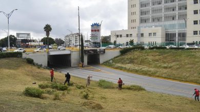 glorieta gonzález bocanegra