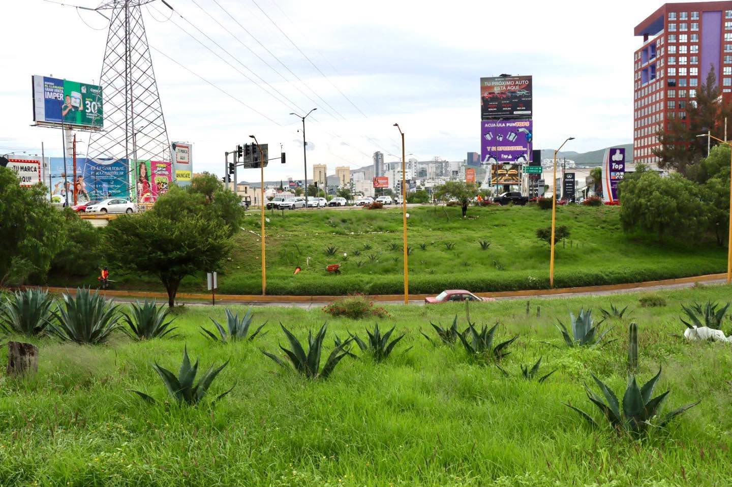 glorieta a guadalajara gobierno municipal slp