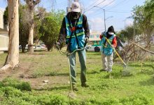 gobierno municipal slp avenidas
