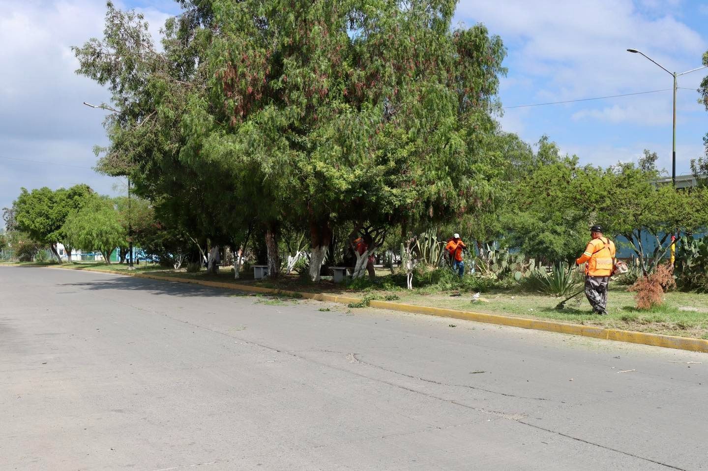 gobierno municipal slp avenidas
