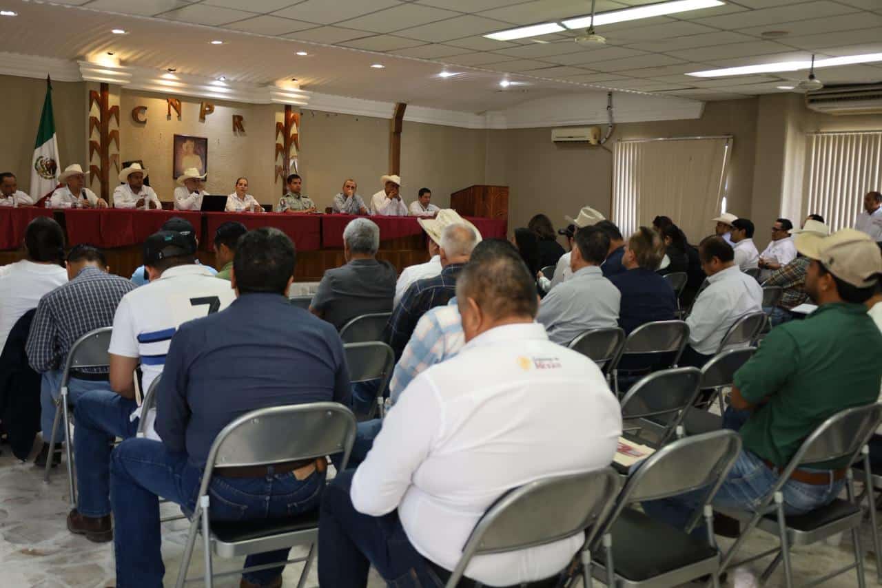 gobierno de méxico gusano barrenador