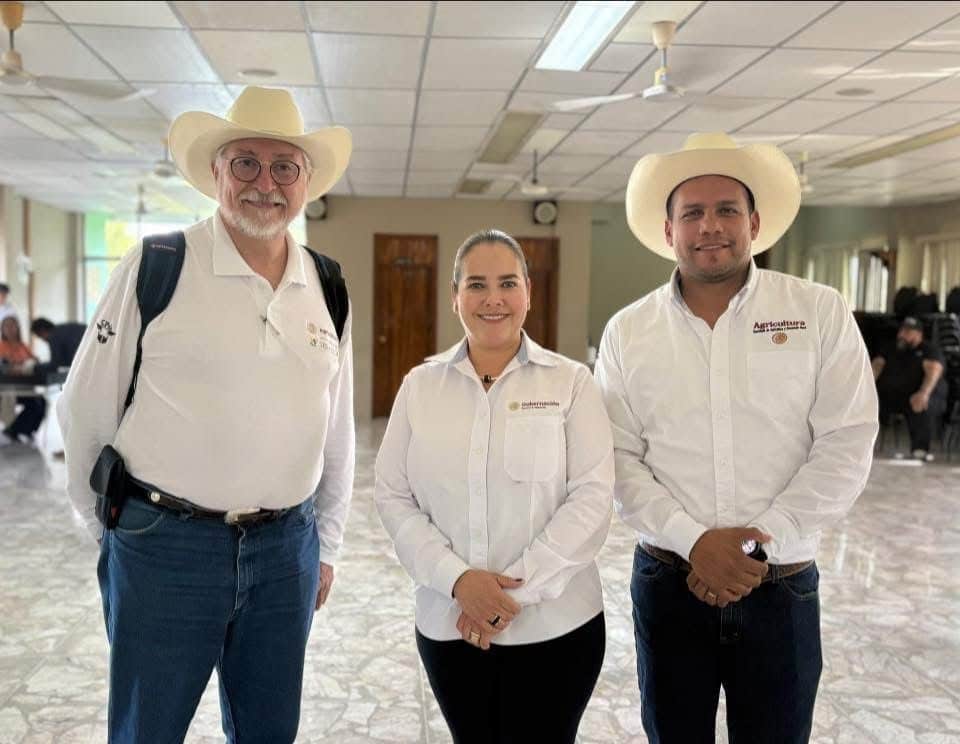 gobierno de méxico gusano barrenador