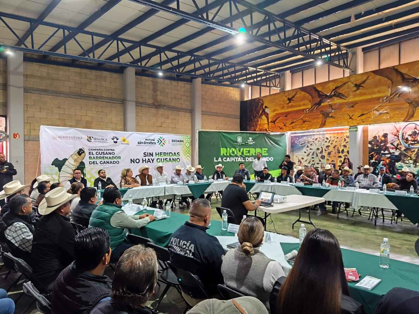 ganado potosino slp gobierno del estado