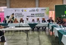 ganado potosino slp gobierno del estado