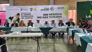 ganado potosino slp gobierno del estado