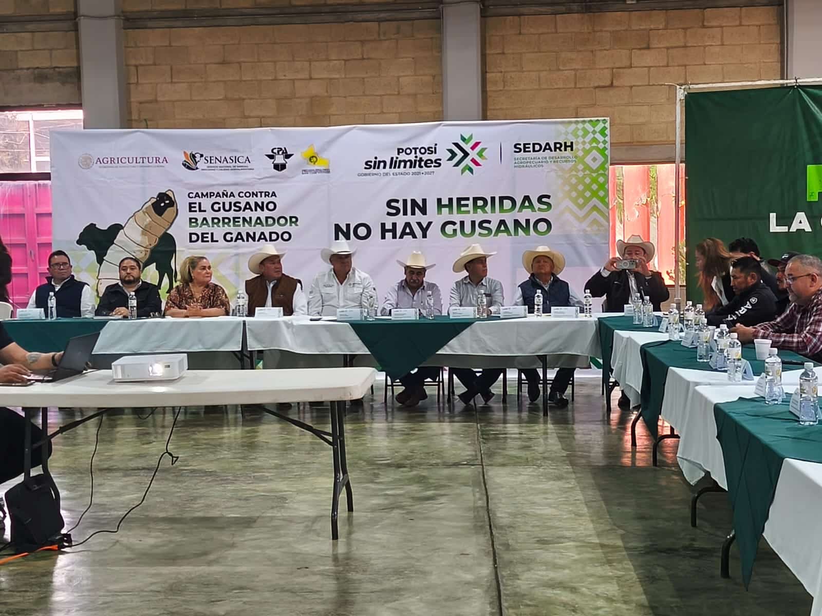 ganado potosino slp gobierno del estado