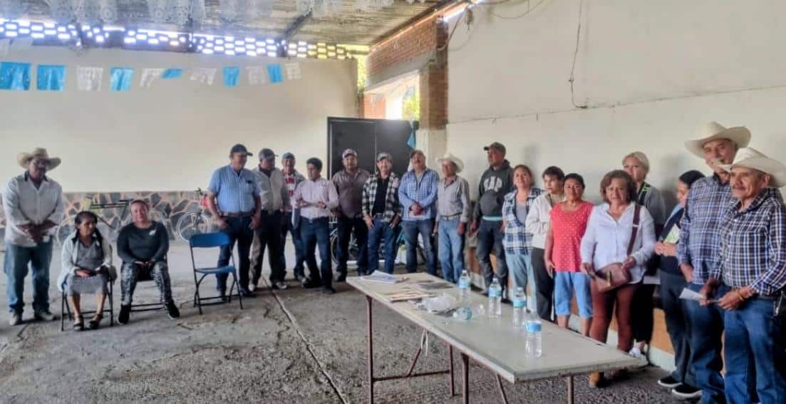 gusano barrenador soledad