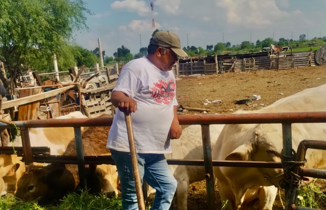 gusano barrenador salud villa de pozos