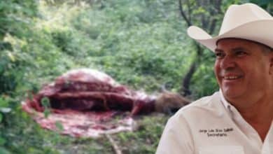 huasteca jorge luis díaz salinas