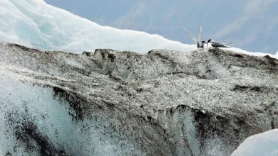 Pescador capta un “iceberg negro” frente a costas de Canadá