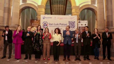 dif municipal slp estela arriaga