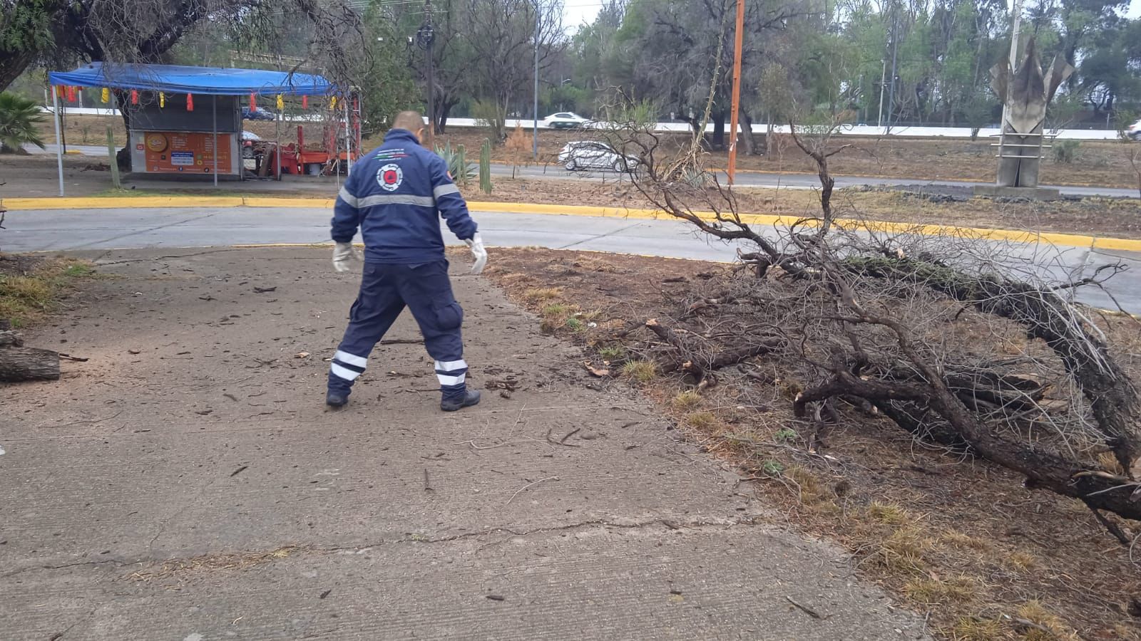 intervenciones lluvias gobierno municipal slp