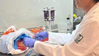 copocyt salud gobierno del estado