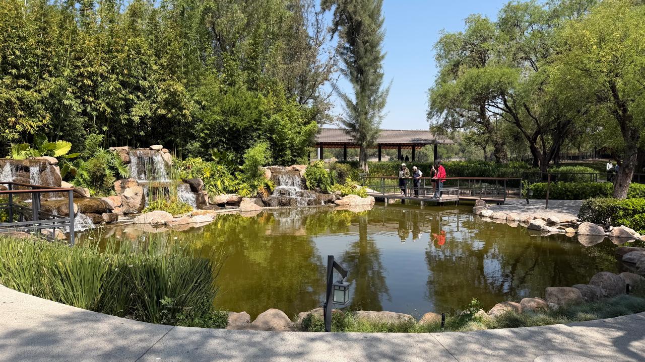 parque japonés gobierno del estado slp