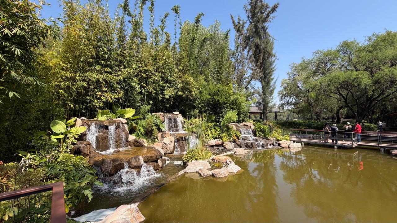 parque japonés gobierno del estado slp