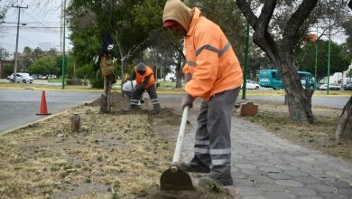 jardín gobierno municipal slp