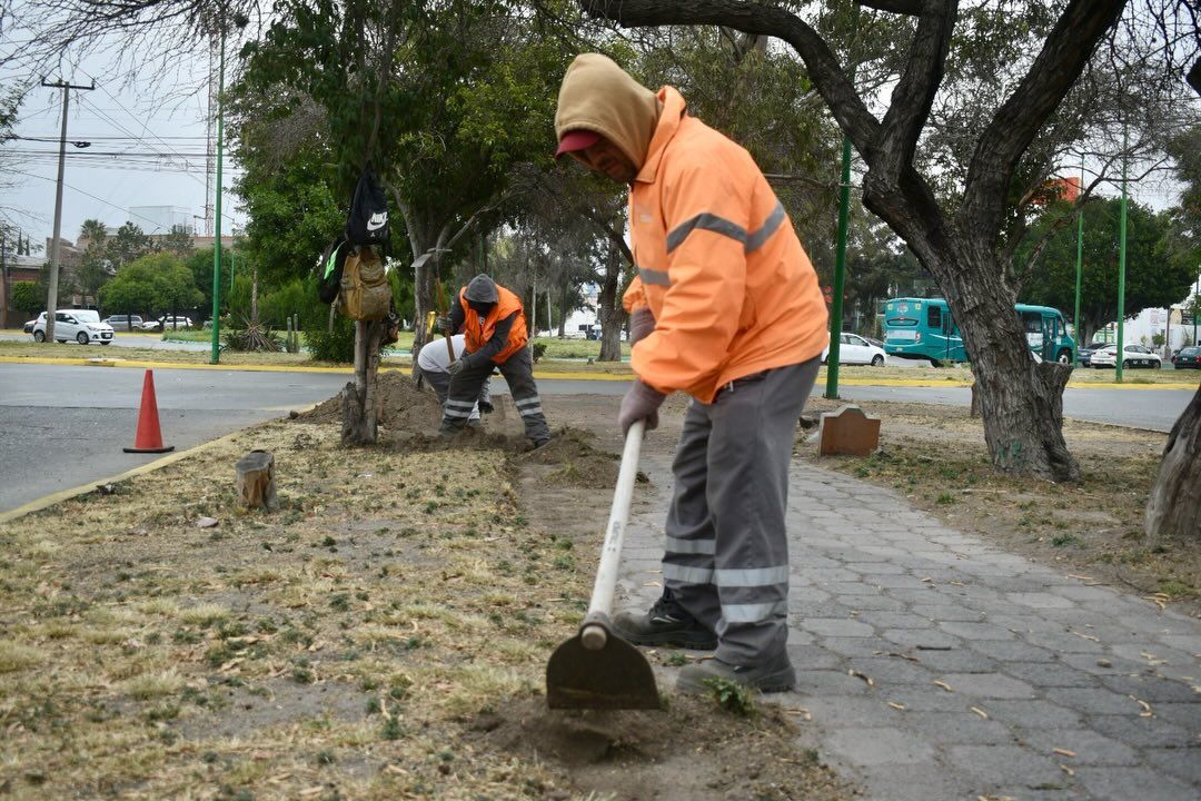jardín gobierno municipal slp