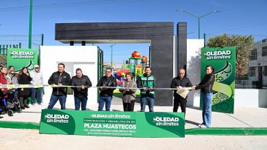 juan manuel navarro soledad