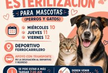 jornada esterilización la pila