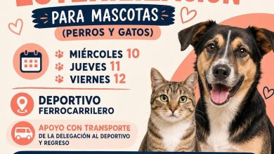jornada esterilización la pila
