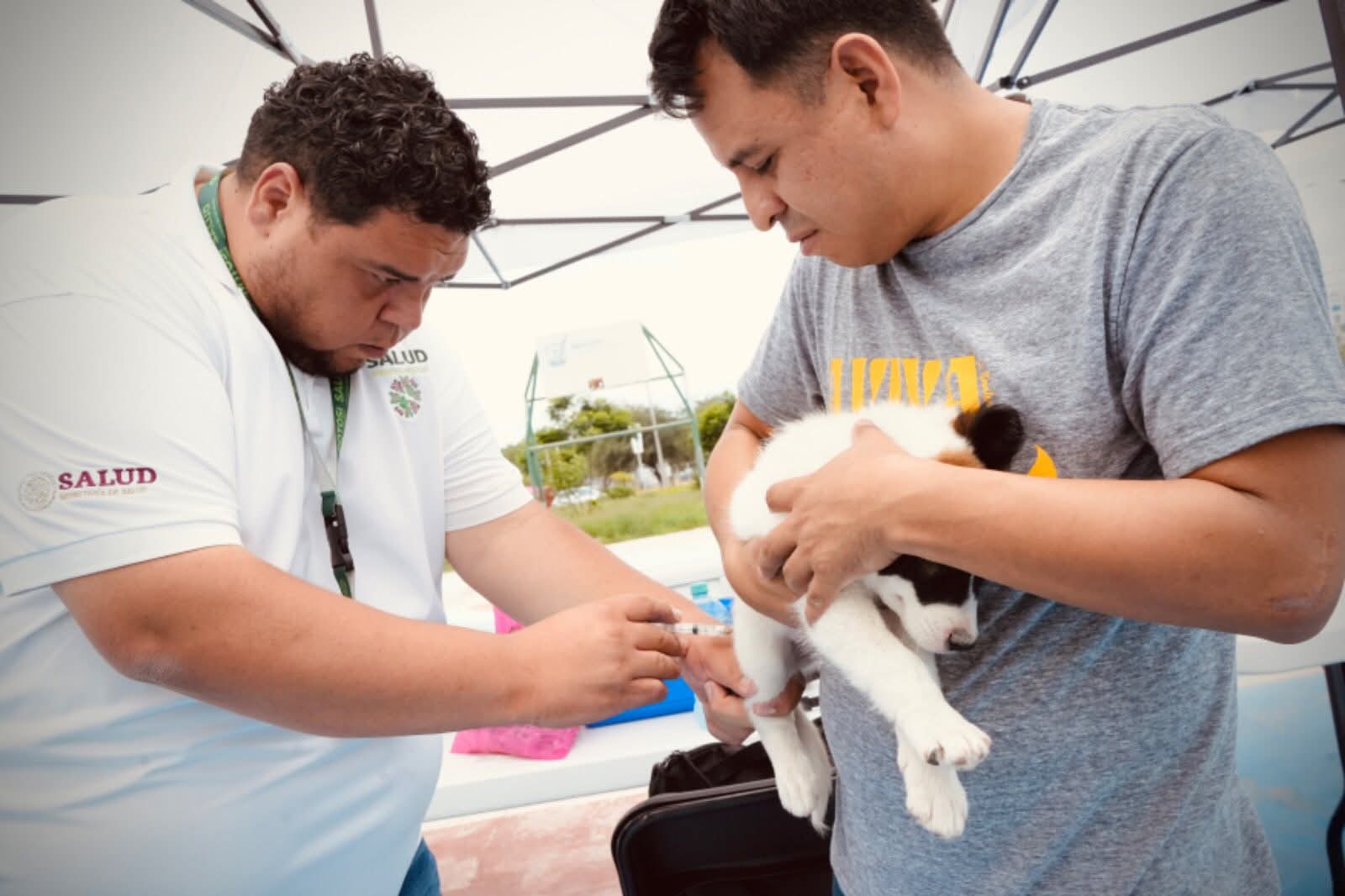 jornada vacunación antirrábica villa de pozos