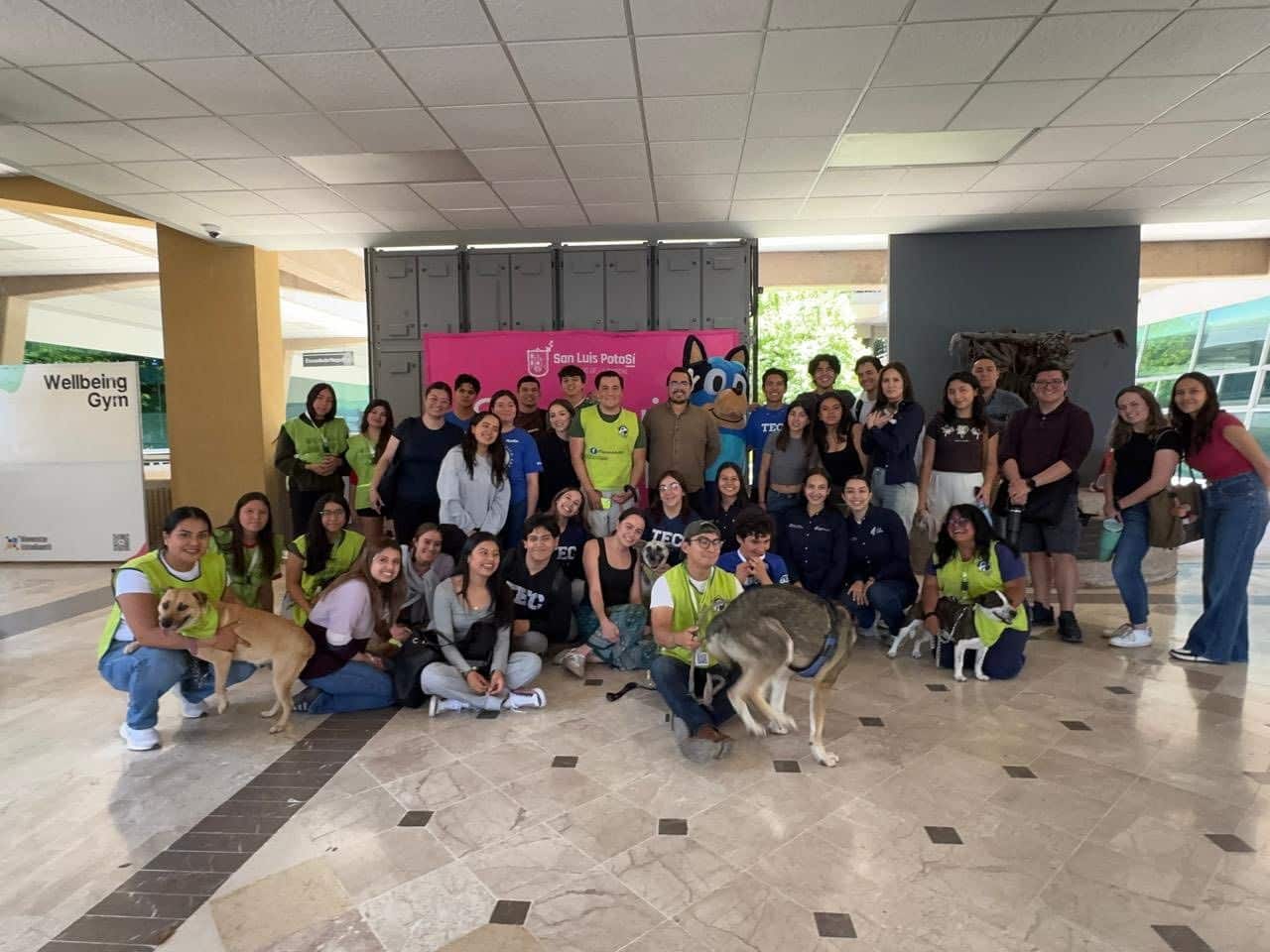 Responsible Pet Adoption Drive Boosted by Food Donations from Municipal Authority