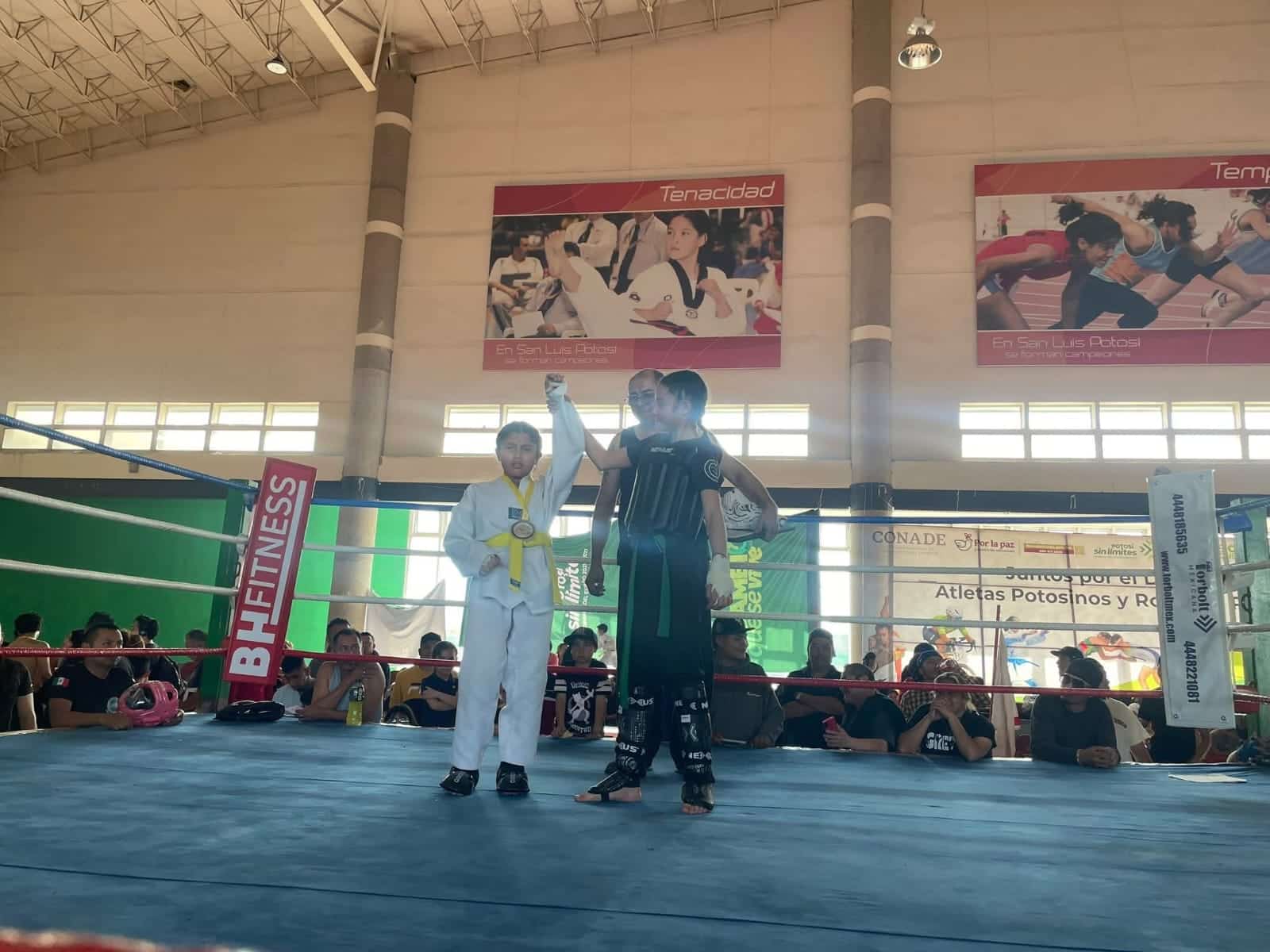 kickboxing torneo