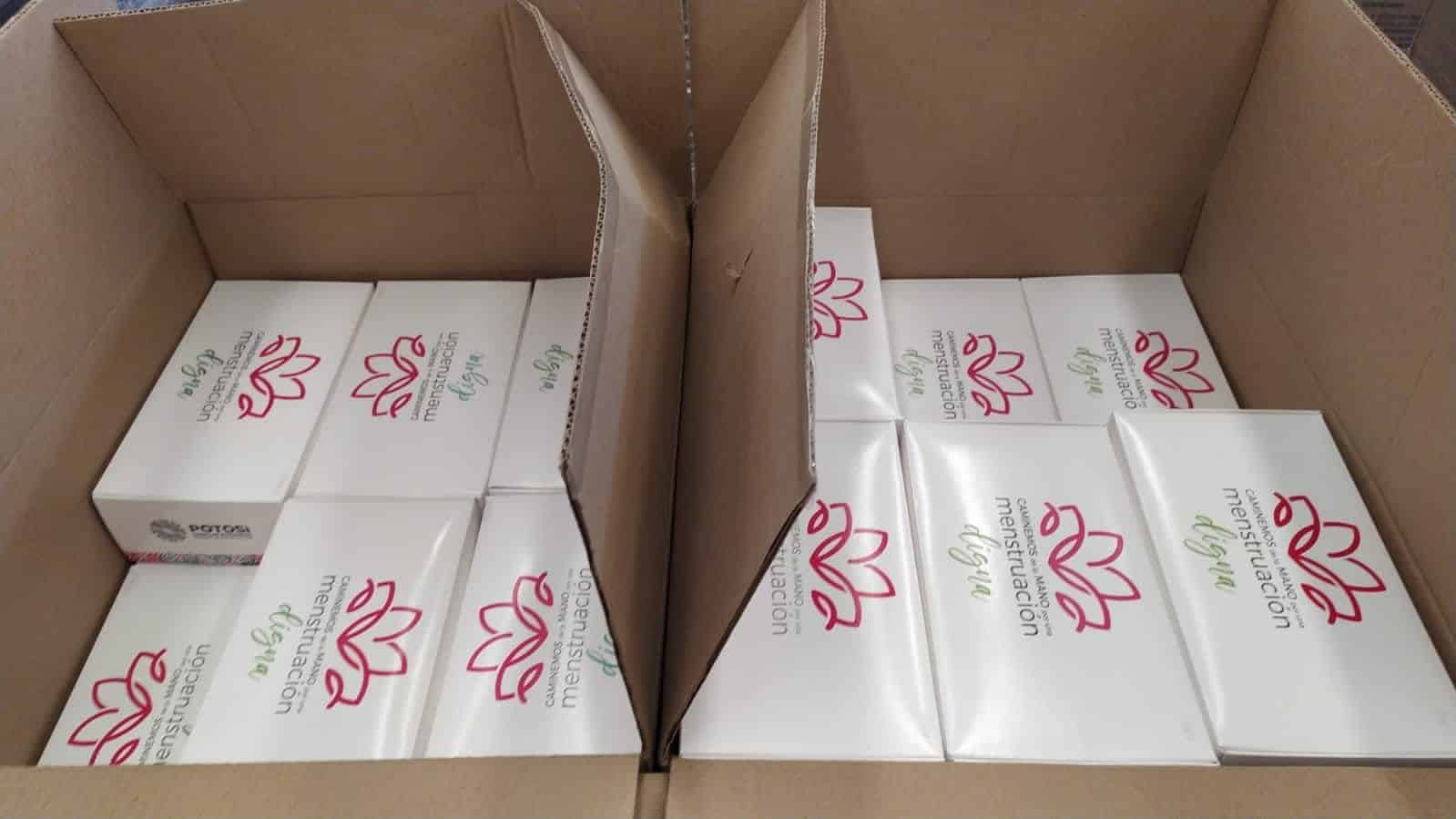 kits menstrual gobierno del estado