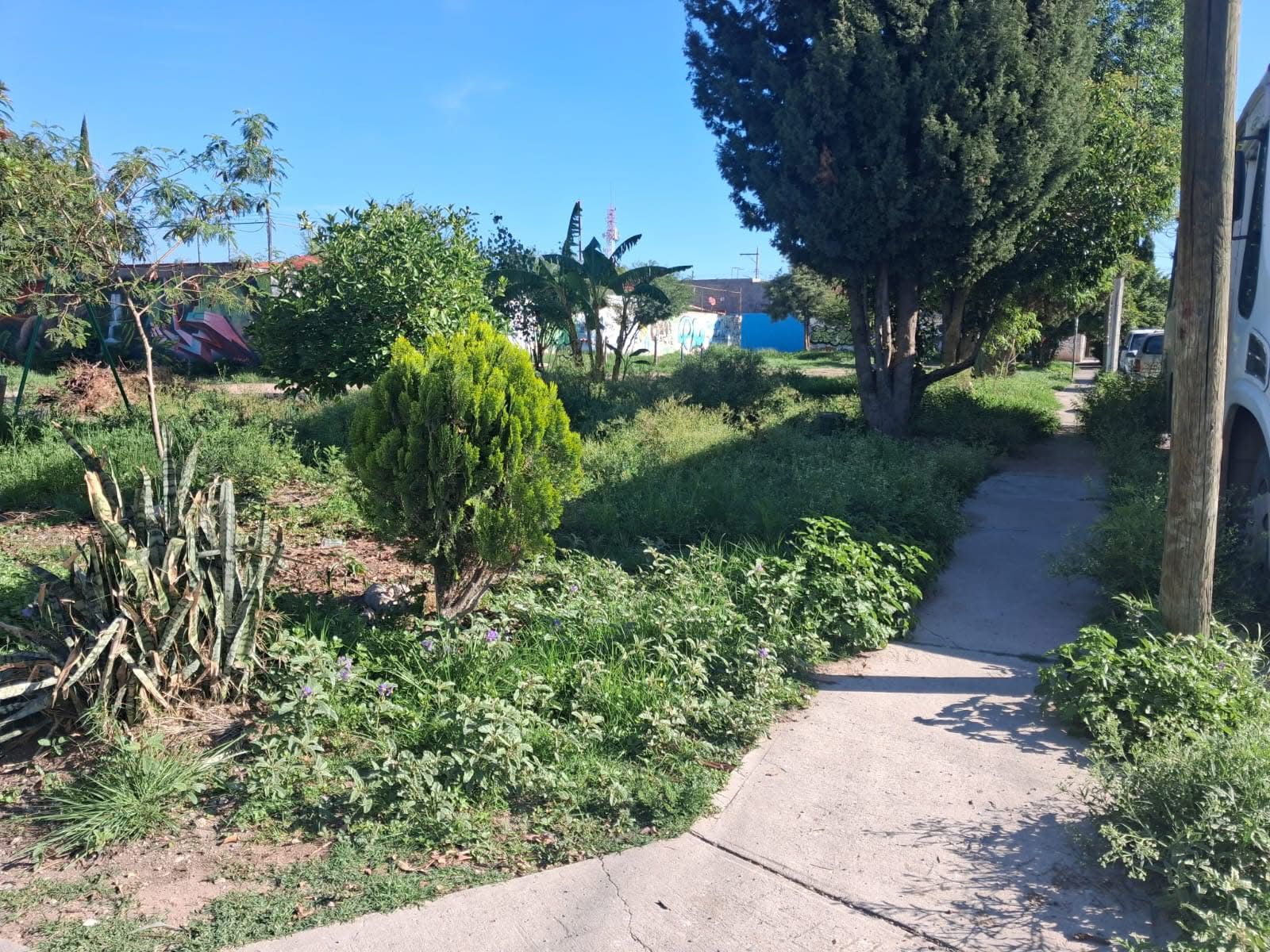 limpieza villa de pozos