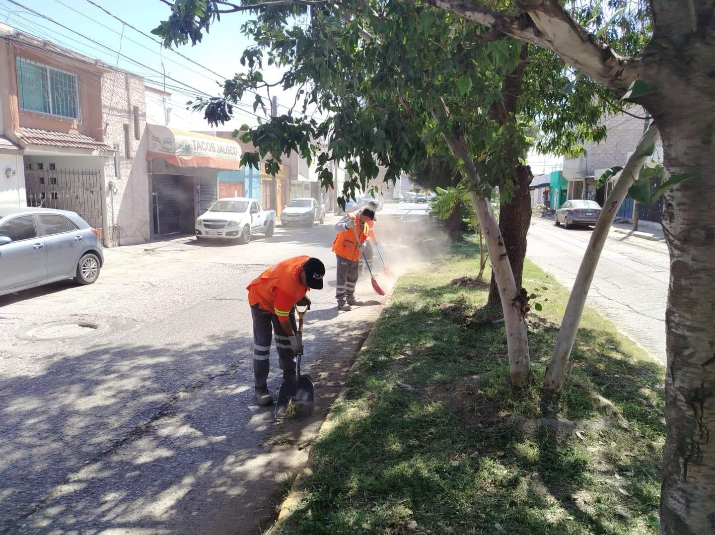 limpieza gobierno municipal slp
