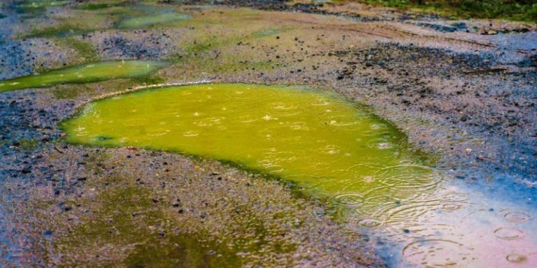 Los Riesgos De La Lluvia ácida Para La Salud - Código San Luis 