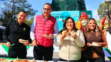 rosca de reyes villa de pozos