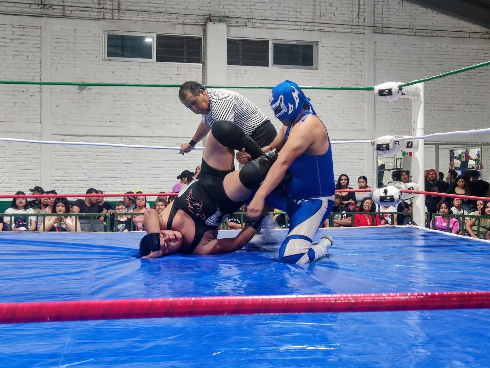 lucha libre pozos