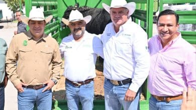 j. guadalupe torres sánchez gusano barrenador