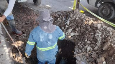 maya gobierno municipal slp