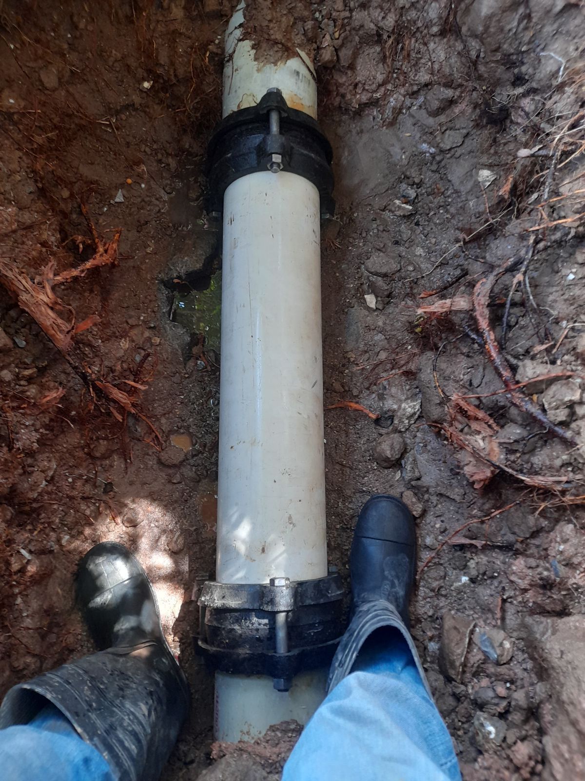 maya gobierno municipal slp