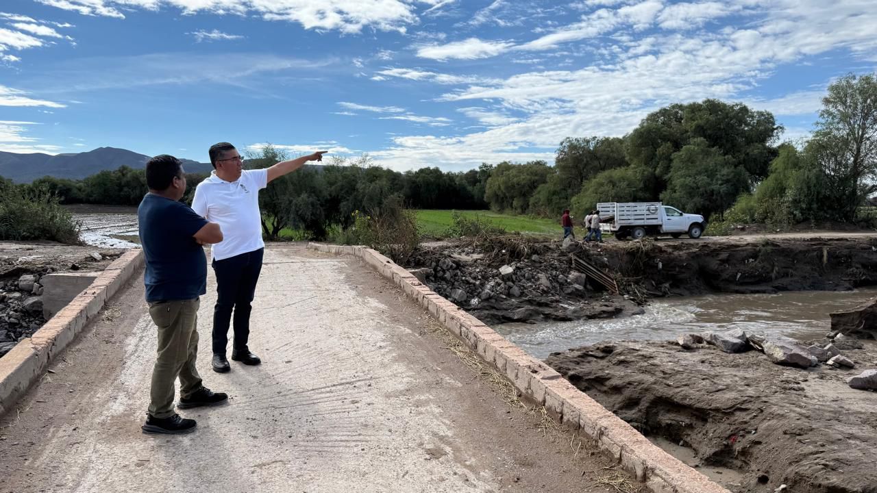 navarro lluvia palma de la cruz
