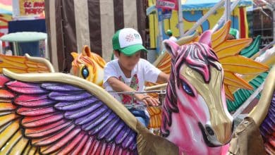 niños centros asistencia fenapo