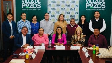 reglamento villa de pozos instancia de la mujer