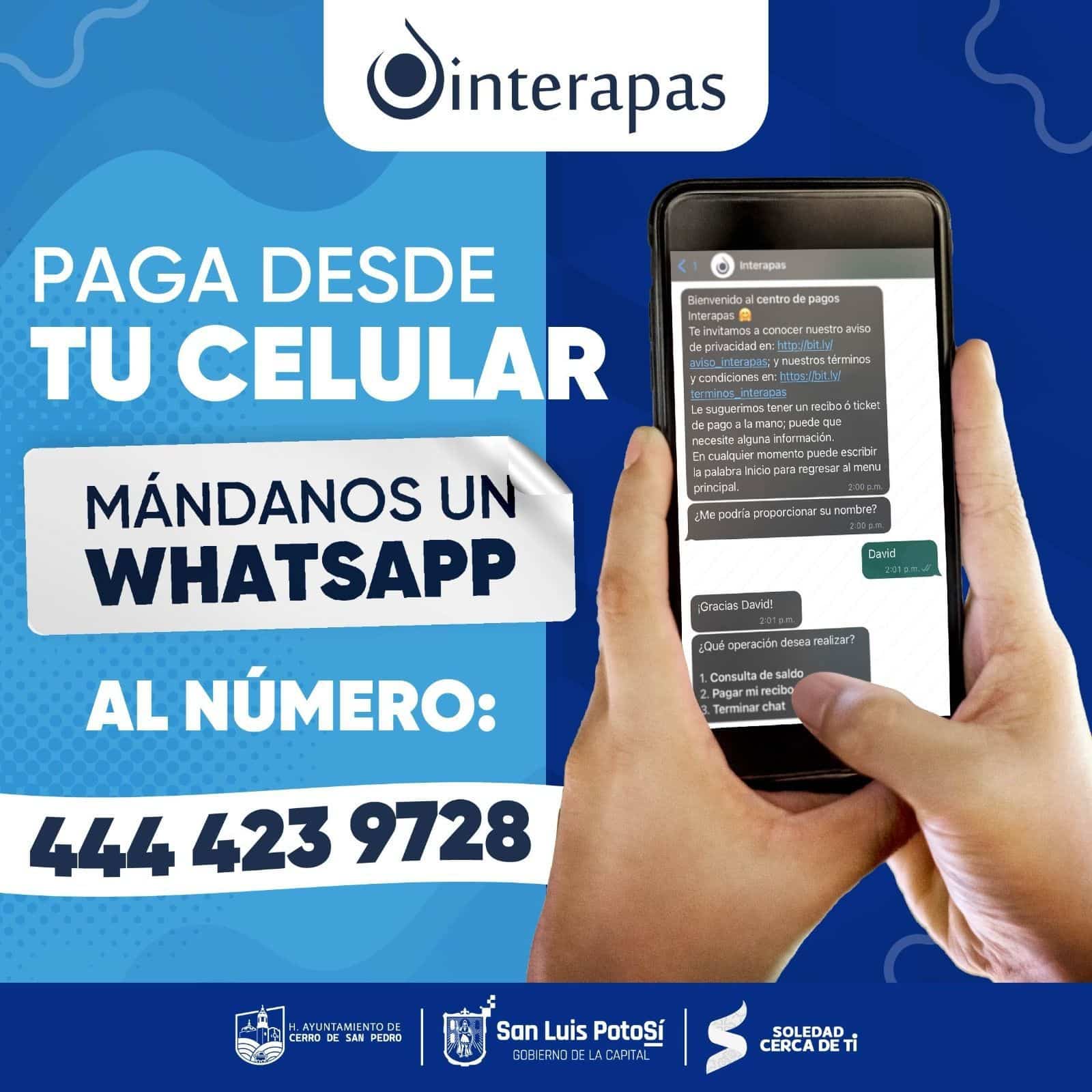 interapas whatsapp