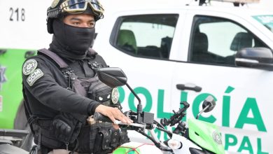 grupo panteras soledad