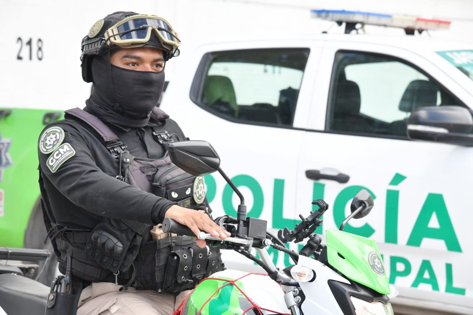 grupo panteras soledad