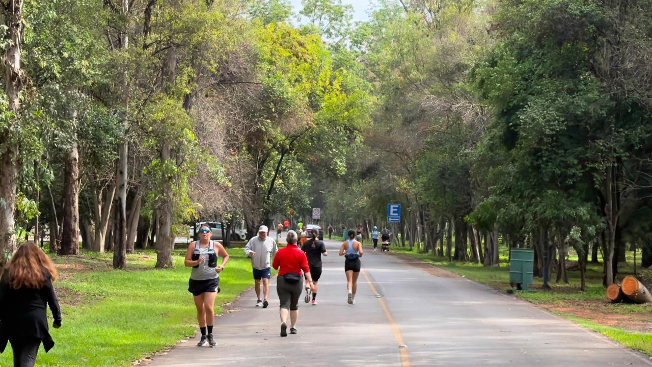 parques tangamanga gobierno del estado slp