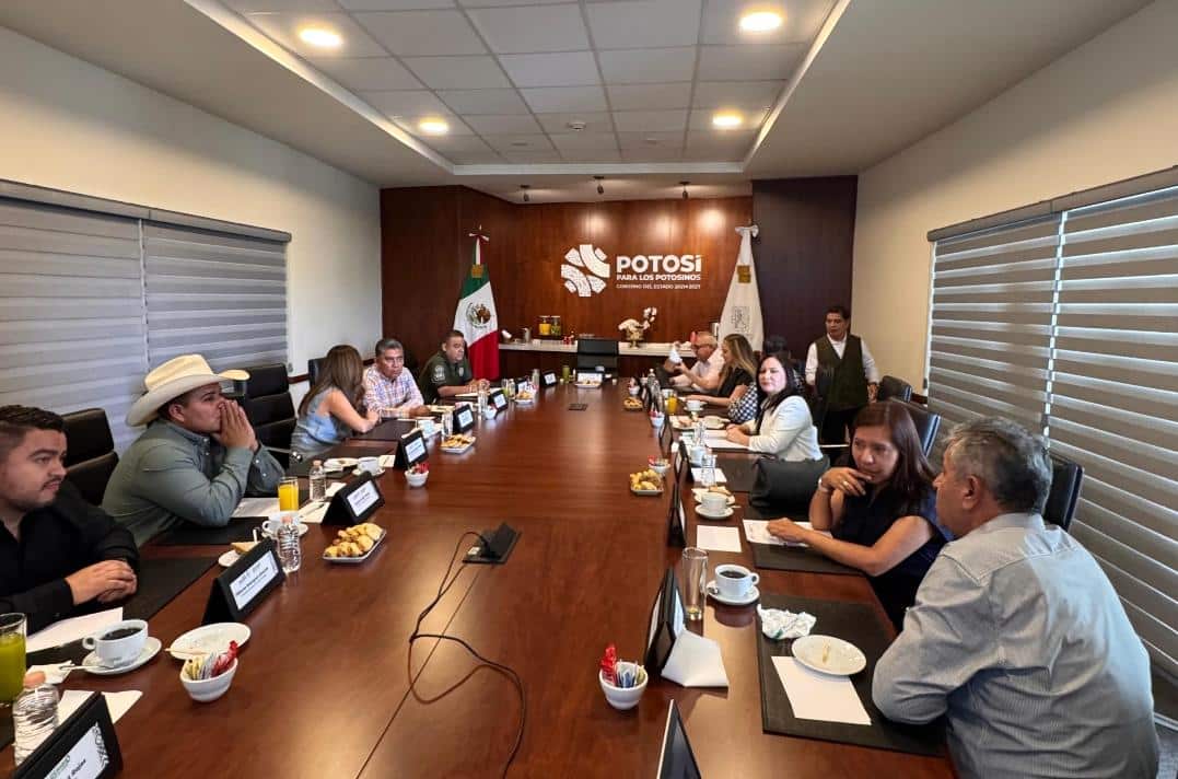 paty aradillas villa de pozos seguridad