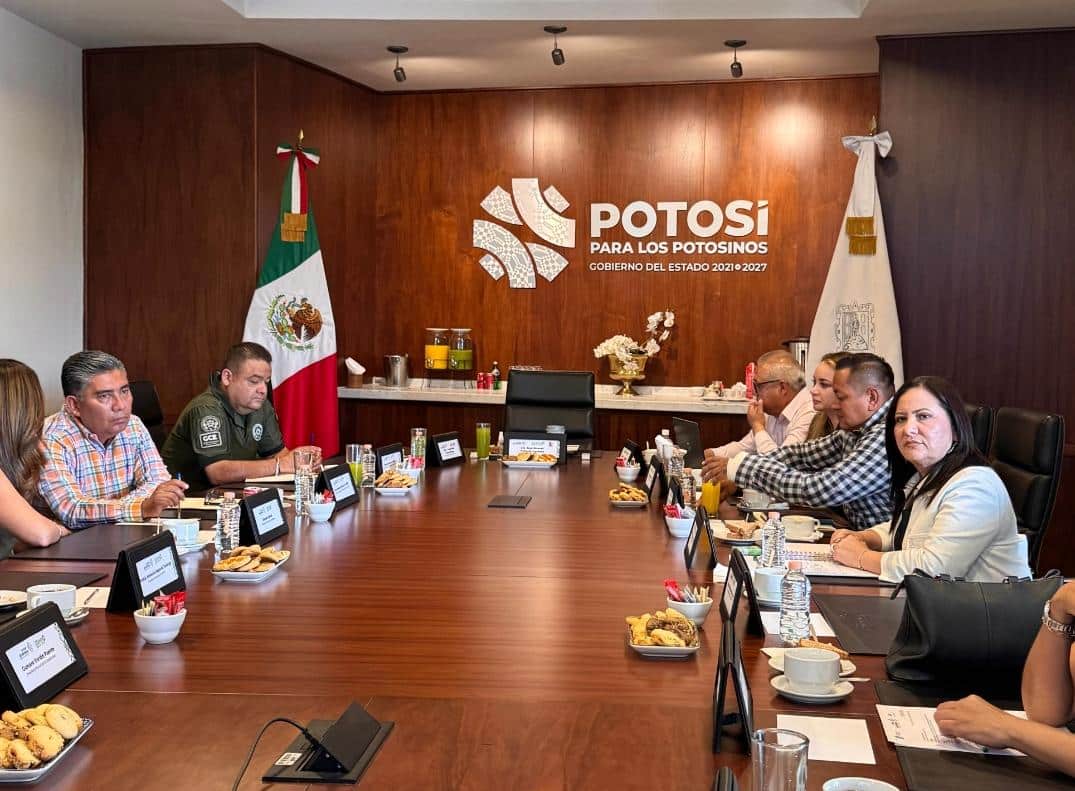 paty aradillas villa de pozos seguridad