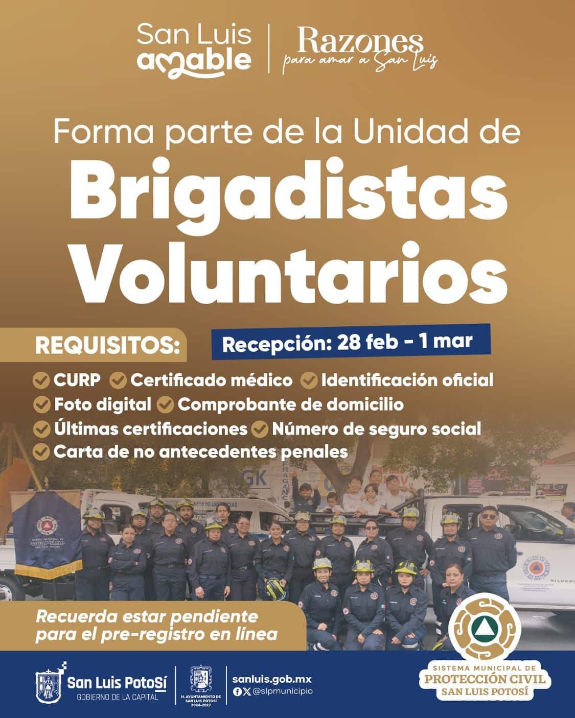 protección civil brigadistas