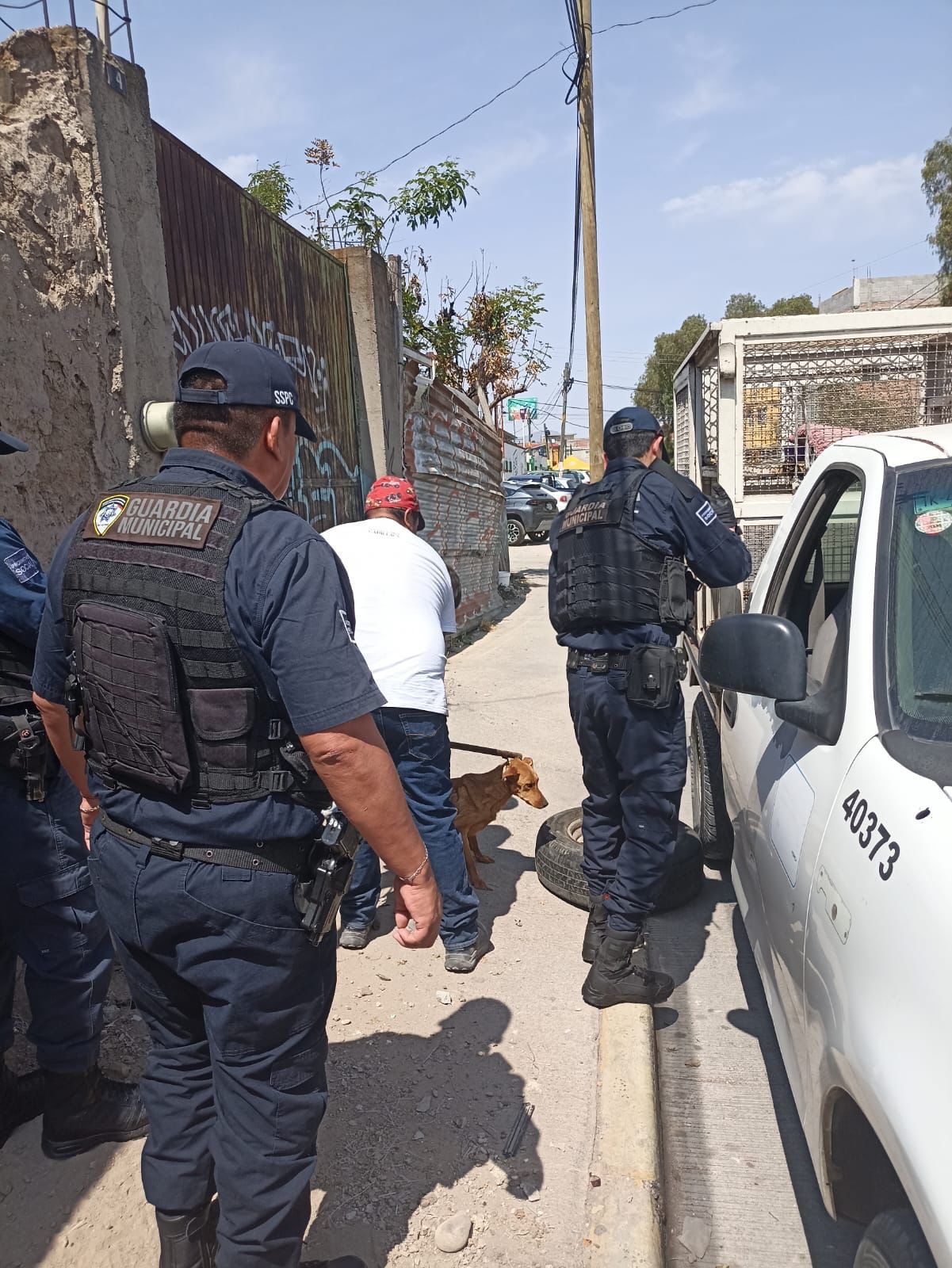 perritos gobierno municipal slp